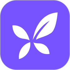 DXY (Guanlan Networks)